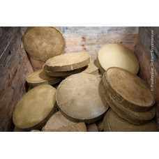 JA- Kürbiskernkuchen Platten
